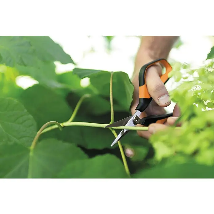 Fiskars Solid Gartenschere SP 150 - Länge: 24 cm - Anwendungsbeispiel