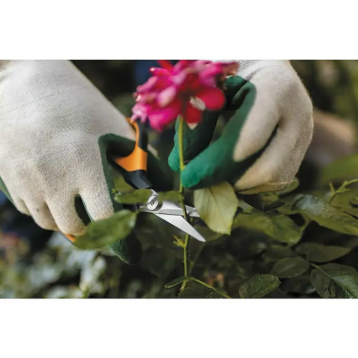 Fiskars Solid Gartenschere SP 150 - Länge: 24 cm - Anwendungsbeispiel