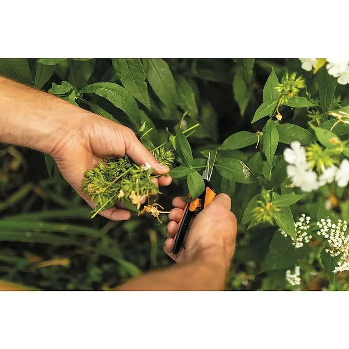 Fiskars Solid Gartenschere Microtip SP 130 - Länge: 21,5 cm - Anwendungsbeispiel