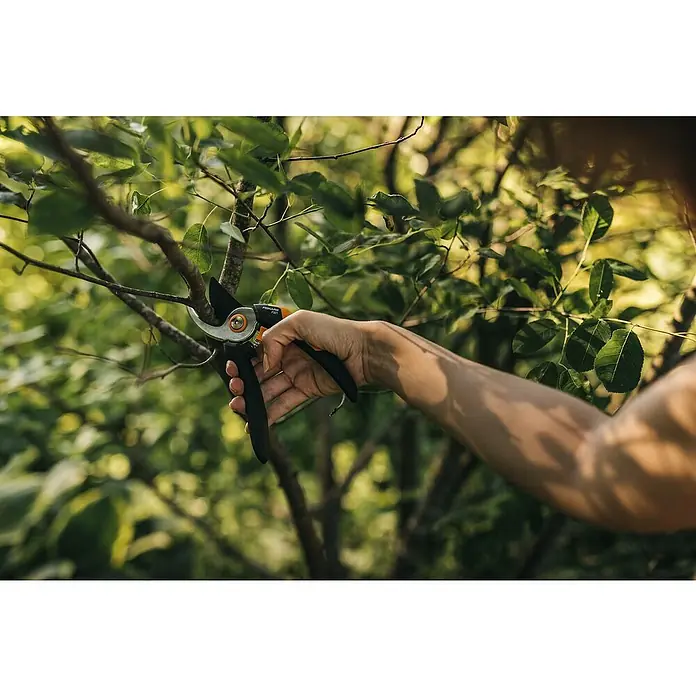 Fiskars Solid Gartenschere P321 - Schneidsystem: Bypass, Max. Aststärke: 20 mm - Anwendungsbeispiel