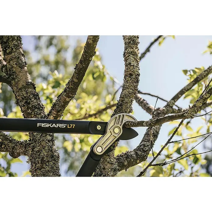 Fiskars PowerGear Getriebe-Astschere L77 - Amboss, Max. Aststärke: 50 mm - Anwendungsbeispiel