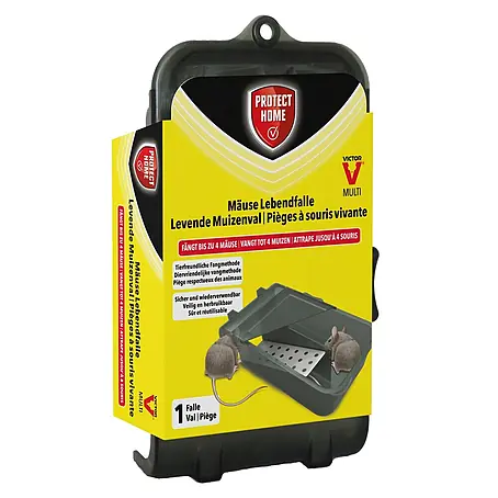 Protect Home Muizenval Catch Hold
