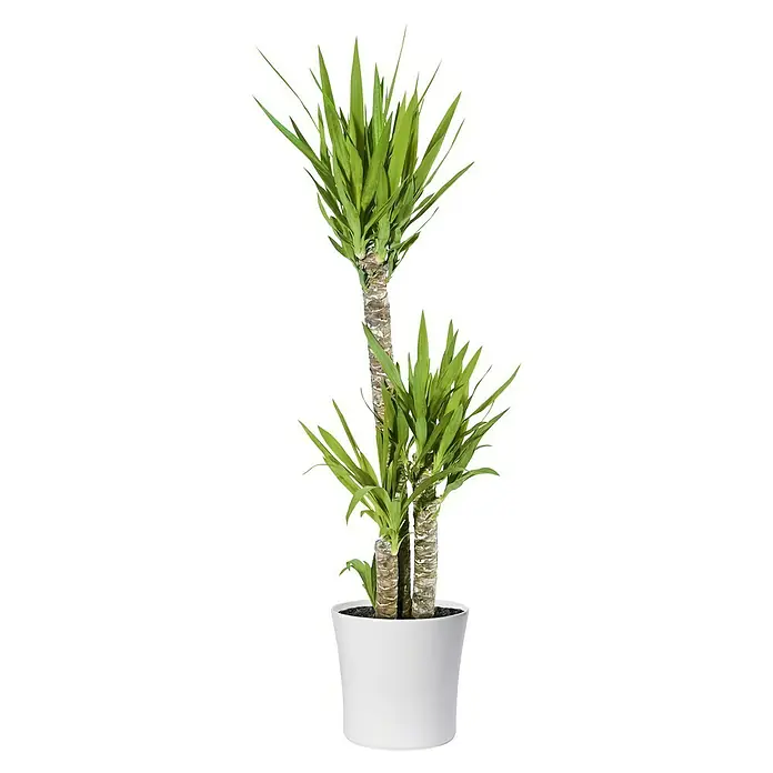 SK Übertopf rund Tahiti - Max. Außendurchmesser: 28 cm, Weiß - Vorderansicht