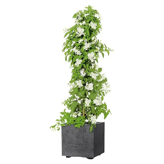 Deroma Pflanzkübel eckig Millennium - Außenmaß (L x B x H): 25 x 25 x 25 cm, Kunststoff, Anthrazit - Diagonale Ansicht