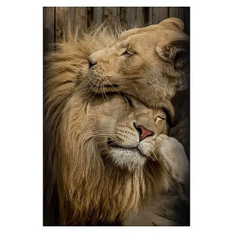 Impresión artística pareja Leones