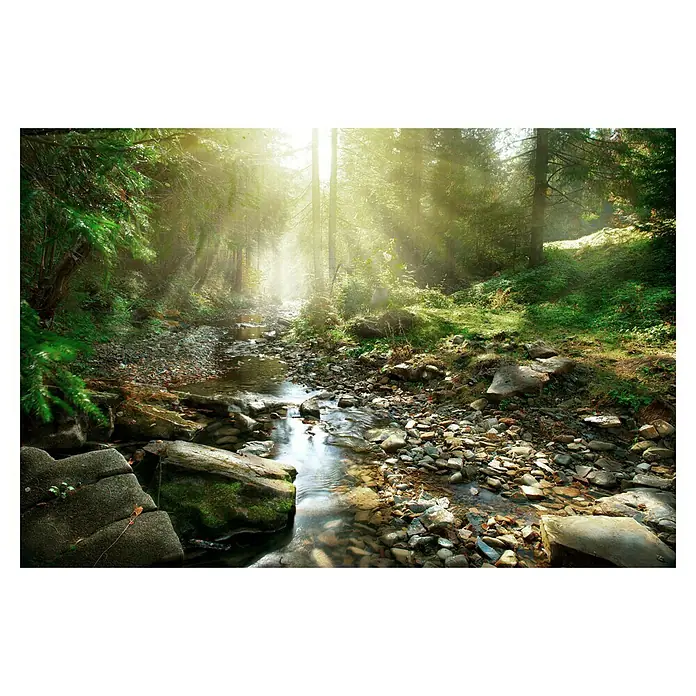 Impresión artística Fantasy - Naturaleza, 65 x 45 cm - Vista frontal