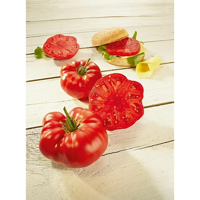 Piardino Fleischtomate Bio - Solanum lycopersicum 'Buffalo Steak', 12 cm, Erntezeit: Juli - Oktober - Stimmungsaufnahme