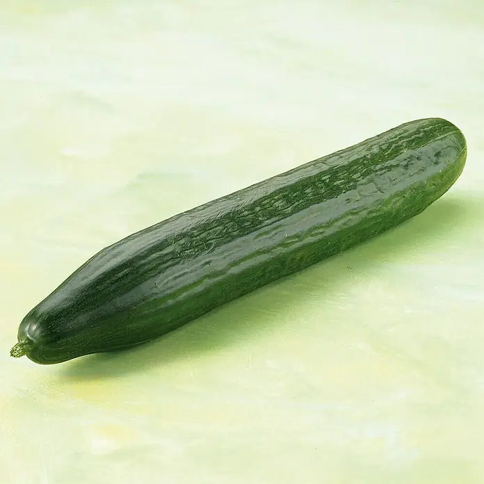 Piardino Schlangengurke Bio - Cucumis sativus 'Melva' F1, 12 cm, Erntezeit: August - Oktober - Stimmungsaufnahme