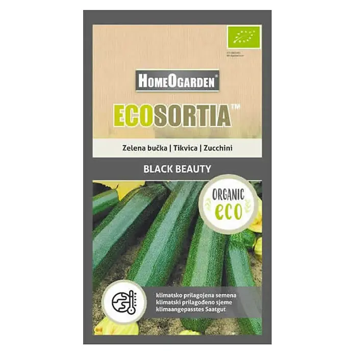 HomeOgarden Sjeme povrća Ecosortia tikvica Black Beauty - Botanički opis: Cucurbita pepo L. - Pogled s gornje strane