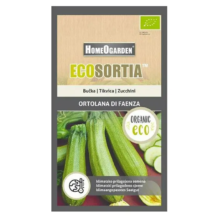 HomeOgarden Sjeme povrća Ecosortia tikvica - Botanički opis: Cucurbita pepo L. - Pogled s gornje strane