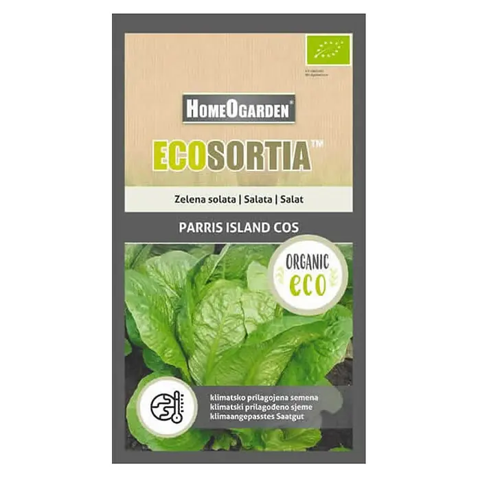 HomeOgarden Sjeme povrća Ecosortia salata -  - Pogled s gornje strane