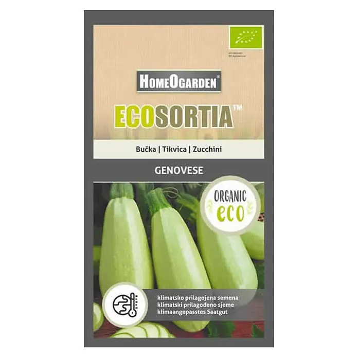 HomeOgarden Sjeme povrća Ecosortia tikvica - Botanički opis: Cucurbita pepo L. - Pogled s gornje strane