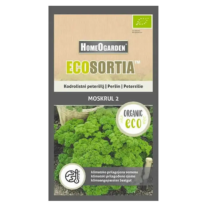 HomeOgarden Sjeme povrća Ecosortia peršin - Botanički opis: Petroselinum crispum (Mill.) Nyman ex A. W. Hill - Pogled s gornje strane