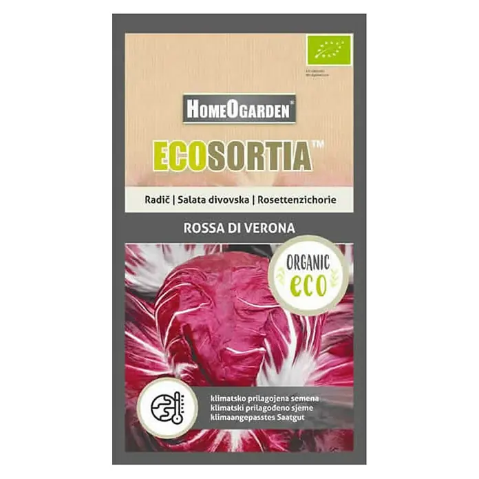 HomeOgarden Sjeme povrća Ecosortia salata divovska - Botanički opis: Cichorium intybus L. - Pogled s gornje strane
