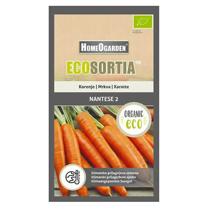 HomeOgarden Sjeme povrća Ecosortia mrkva - Botanički opis: Daucus carota L. - Pogled s gornje strane