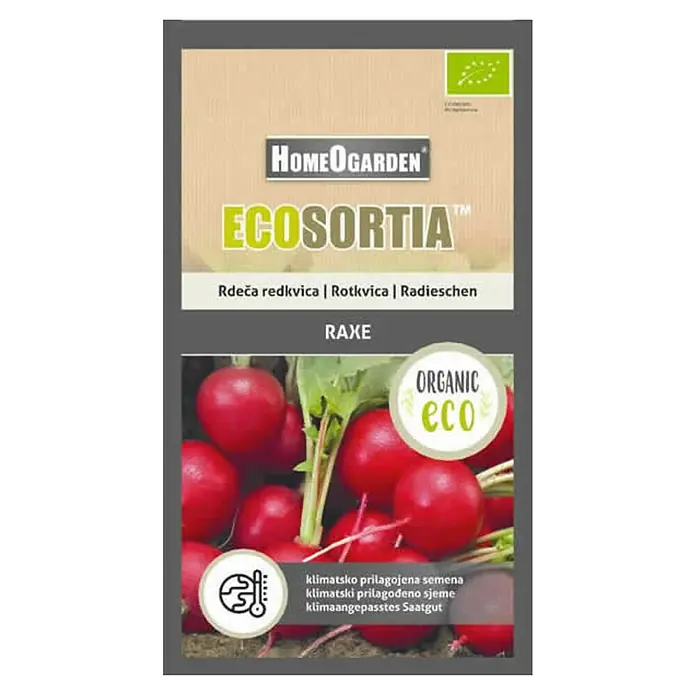 HomeOgarden Sjeme povrća Ecosortia rotkvica - Botanički opis: Raphanus sativus L. - Pogled s gornje strane