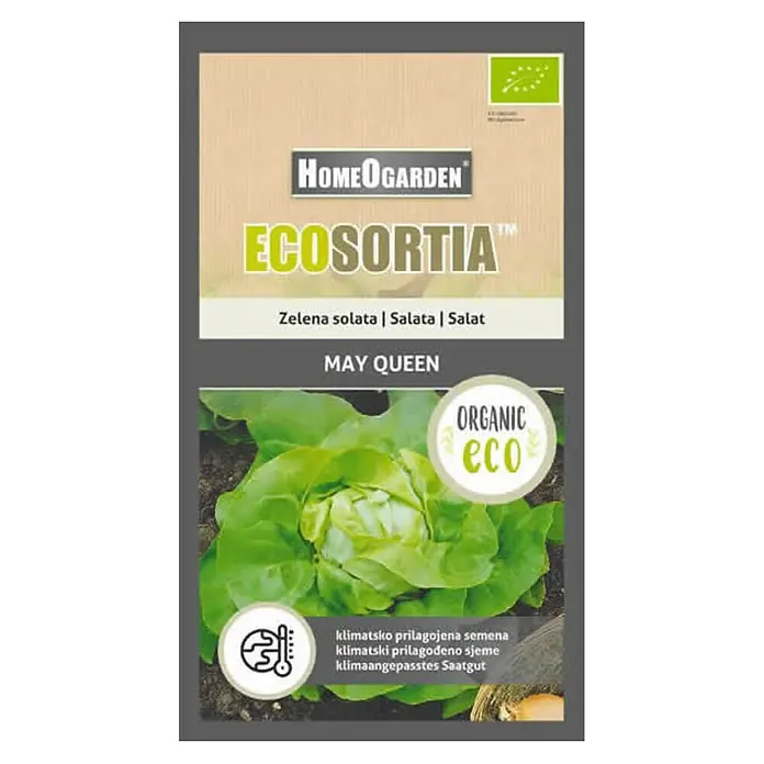 HomeOgarden Sjeme povrća Ecosortia salata - Botanički opis: Lactuca sativa L. - Pogled s gornje strane