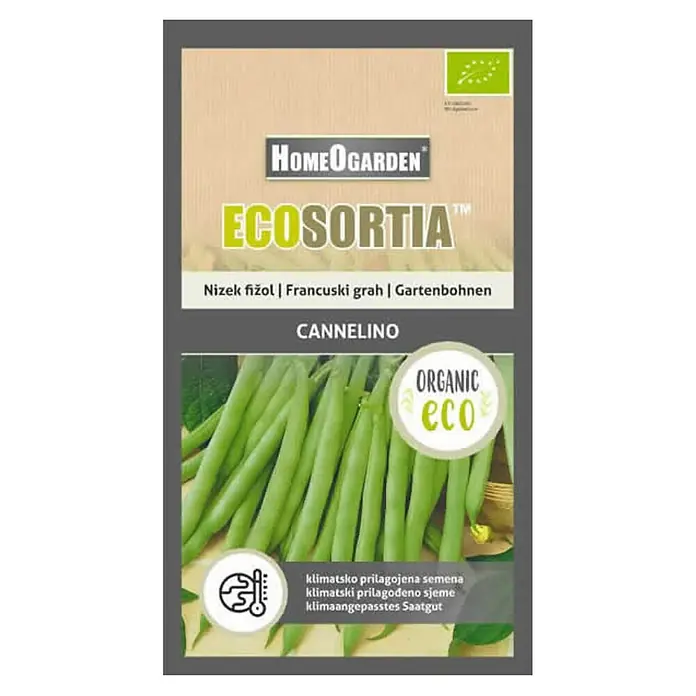 HomeOgarden Sjeme povrća Ecosortia francuski grah - Botanički opis: Phaseolus vulgaris L. - Pogled s gornje strane