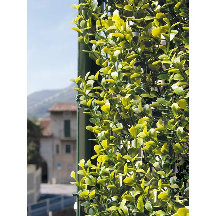 Jardín vertical Lima - Plástico, L x An: 50 x 50 cm, Apto para: Decoración - Foto ambiente