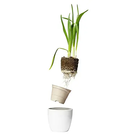 Pflanzen-Mix BioForm Pflanztopf