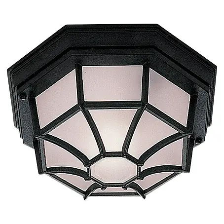 Searchlight  Buitenwand- en plafondlamp