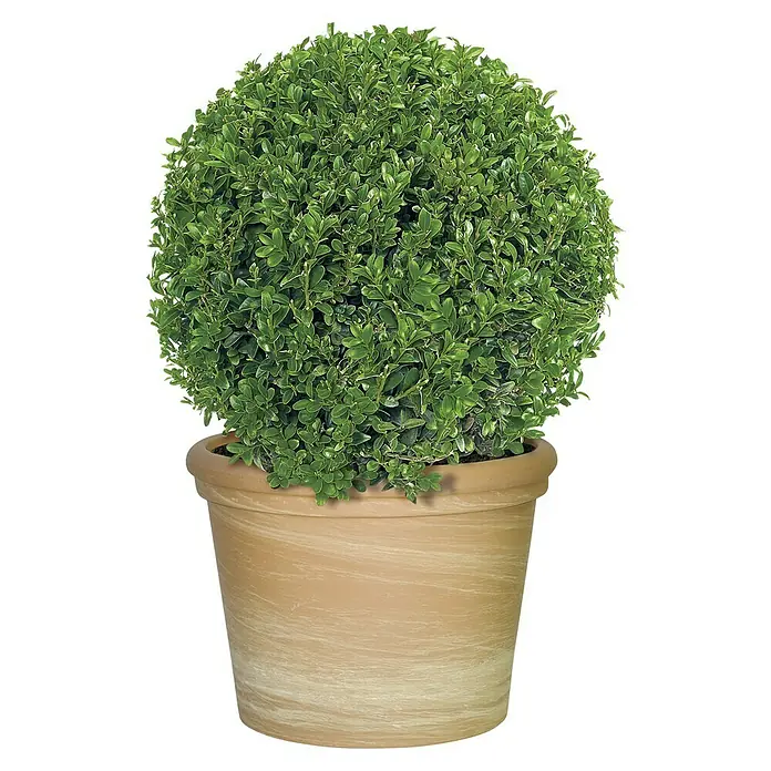 Pflanztopf - Max. Außendurchmesser: 32 cm, Höhe: 24 cm, Naturmaterialien - Vorderansicht