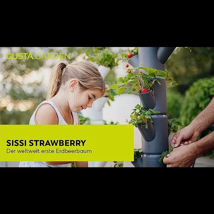 Gusta Garden Pflanzturm Sissi Strawberry Starter - 27 x 32 x 77 cm, Weiß - Sissi Strawberry