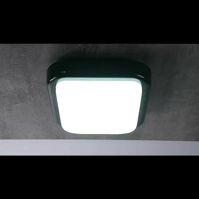 Ritter Leuchten LED-Wandleuchte - 14 W, L x B x H: 197 x 197 x 95 mm, Schwarz, Tageslichtweiß