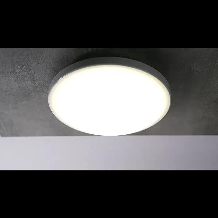 Ritter Leuchten LED-Rundleuchte Senso - Durchmesser: 250 mm