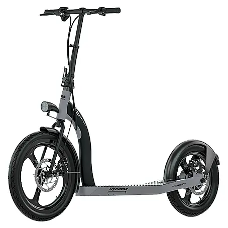 Električni romobil MS Energy R10