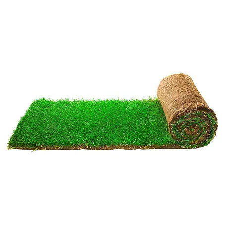 Piardino  Rollrasen