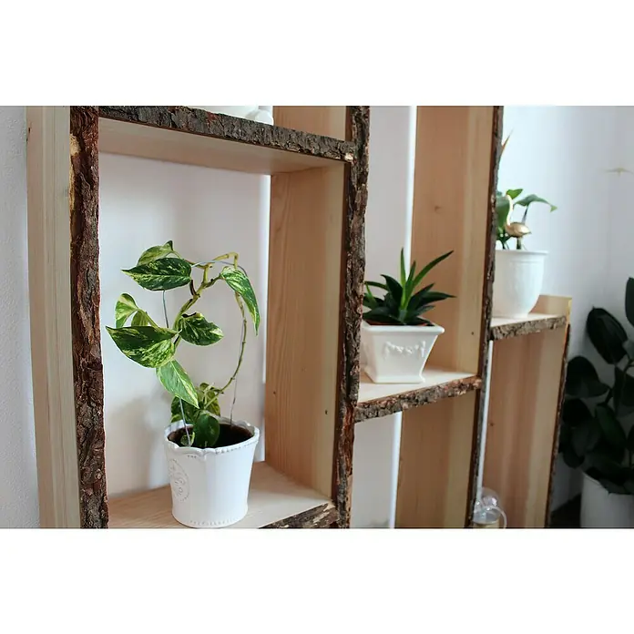 Exclusivholz Blockware - Douglasie, Anfallende Breite: 30 - 35 cm, 200 x 3 cm - Stimmungsaufnahme