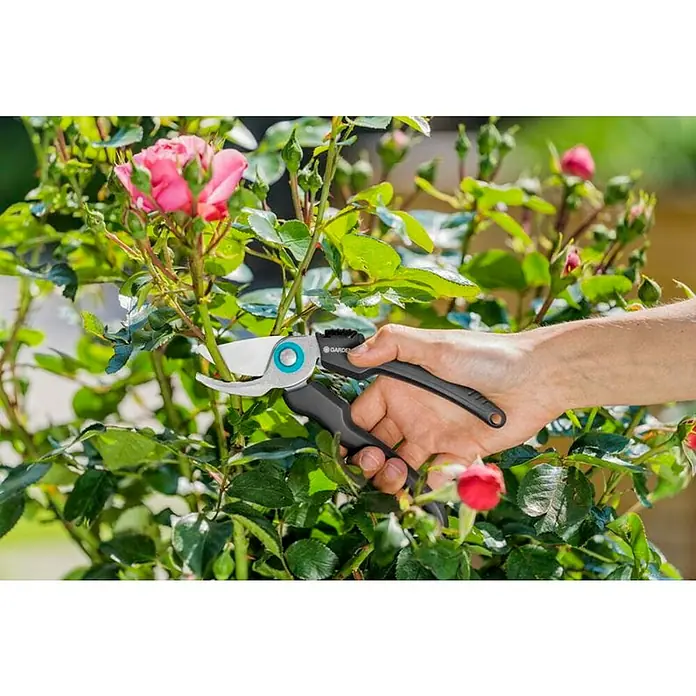 Gardena EcoLine Vrtne škare - Bypass, Maksimalna debljina grane: 18 mm - Proizvod u upotrebi