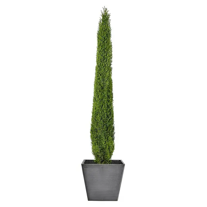 Ecopots Pflanzkasten Rotterdam - Außenmaß (L x B x H): 30 x 30 x 26 cm, Kunststoff, Grau - Vorderansicht