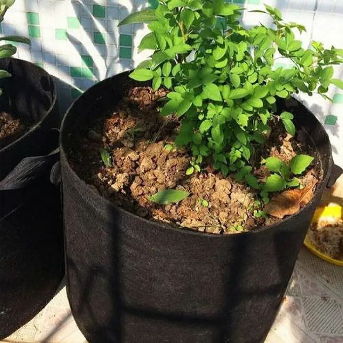 Posuda za sadnju biljaka Plantin - 128 l, Crna - Proizvod u upotrebi
