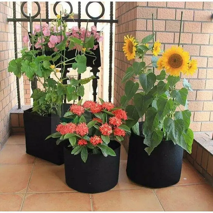 Posuda za sadnju biljaka Plantin - 4 l, Crna - Proizvod u upotrebi