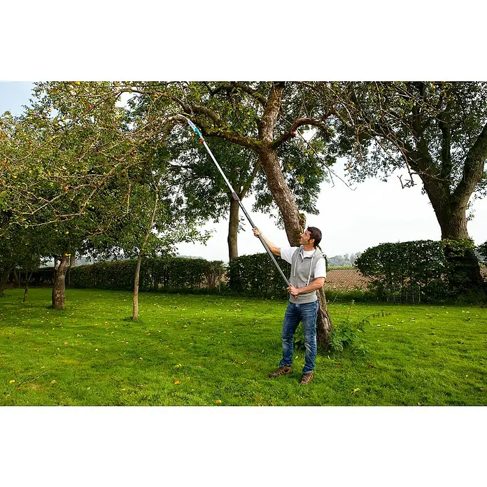 Gardena Combisystem Snoeizaag 300 P gebogen - Uitrusting: Ophangoog, Zaagbladlengte: 34 cm, Hardverchroomd - Toepassingsvoorbeeld