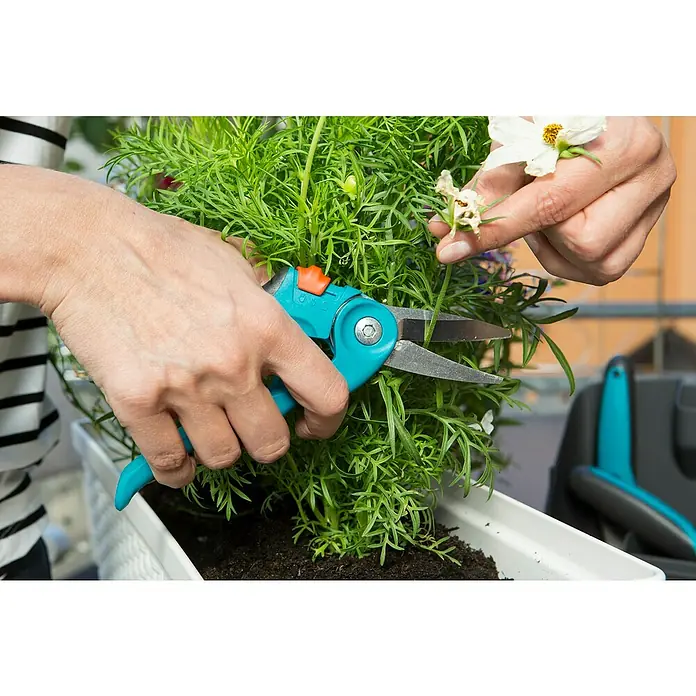 Gardena Gartenschere City gardening Balkonschere - Bypass - Anwendungsbeispiel