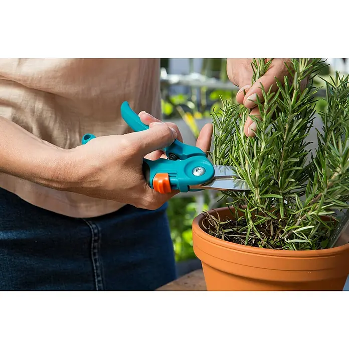 Gardena Gartenschere City gardening Balkonschere - Bypass - Anwendungsbeispiel