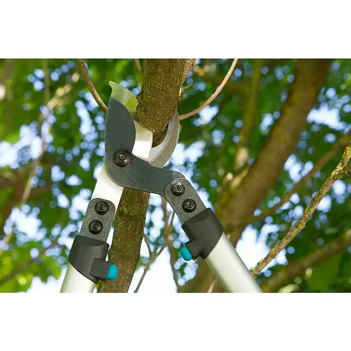 Gardena Premium Teleszkópos metszőolló 700 B - Bypass, Max. ágvastagság: 40 mm - Használati példa