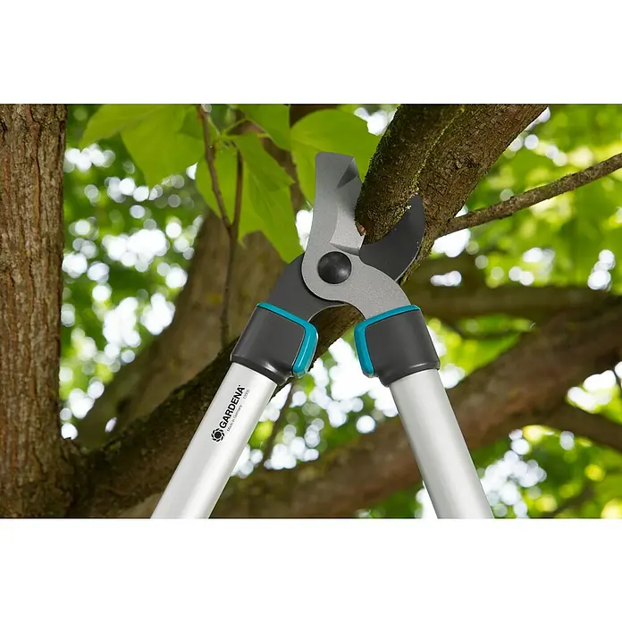 Gardena Teleskopske škare za grane TeleCut 520-670 B - Bypass, Maksimalna debljina grane: 42 mm - Proizvod u upotrebi