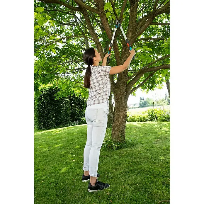 Gardena Teleskop-Astschere 520-670 B - Bypass, Max. Aststärke: 42 mm - Anwendungsbeispiel