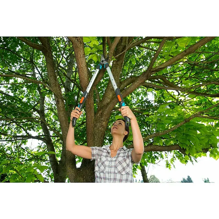 Gardena Teleskop-Astschere 520-670 B - Bypass, Max. Aststärke: 42 mm - Anwendungsbeispiel