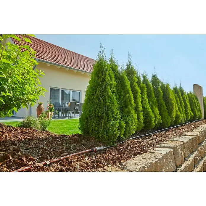 Gardena Micro-Drip Startset - Geschikt voor: Plantrijen tot 25 m, Toepassingsbereik: Buiten - Sfeeropname