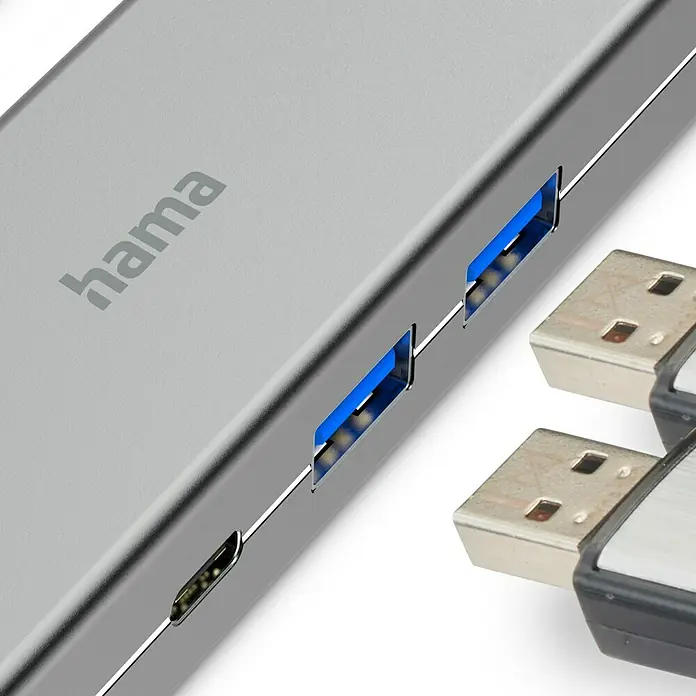 Hama Conector USB 4 puertos - Gris, L x An x Al: 3,3 x 10 x 1,7 cm - Primer plano