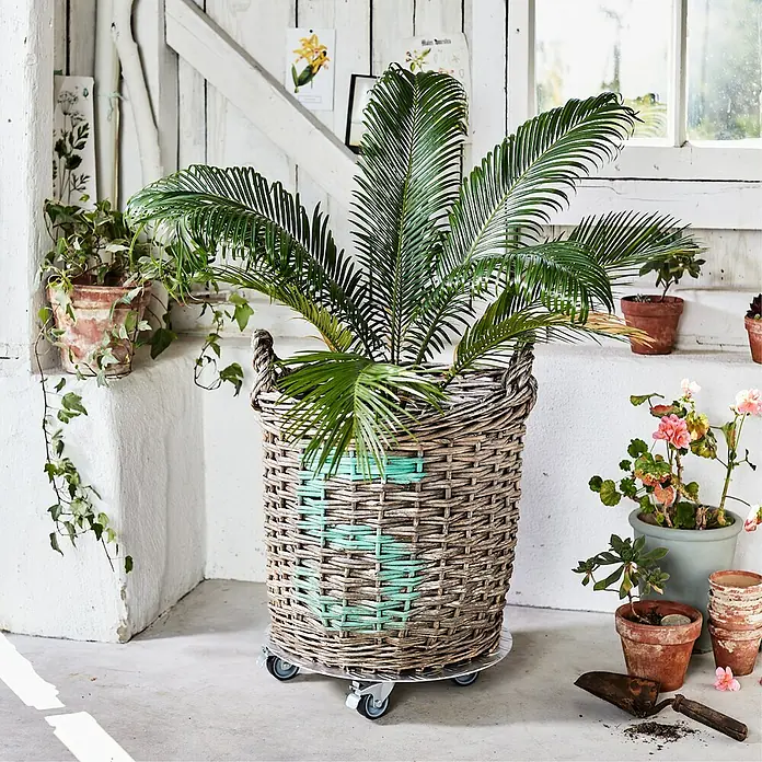 Gardol Voziček za rastline Arktis - Premer: 38 cm, Aluminij - Primer uporabe