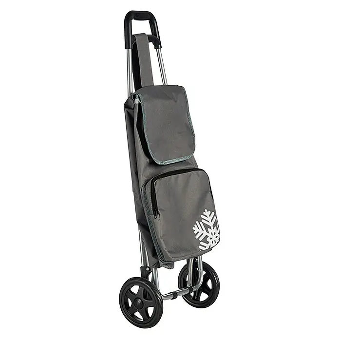 Carro de la compra - 33 l, Gris, Compartimento térmico para ultracongelados - Vista angular