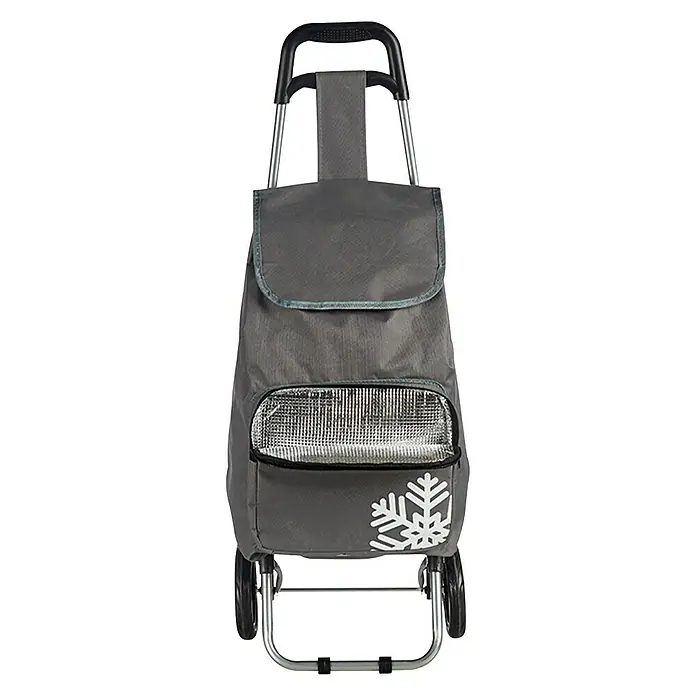 Carro de la compra - 33 l, Gris, Compartimento térmico para ultracongelados - Vista frontal