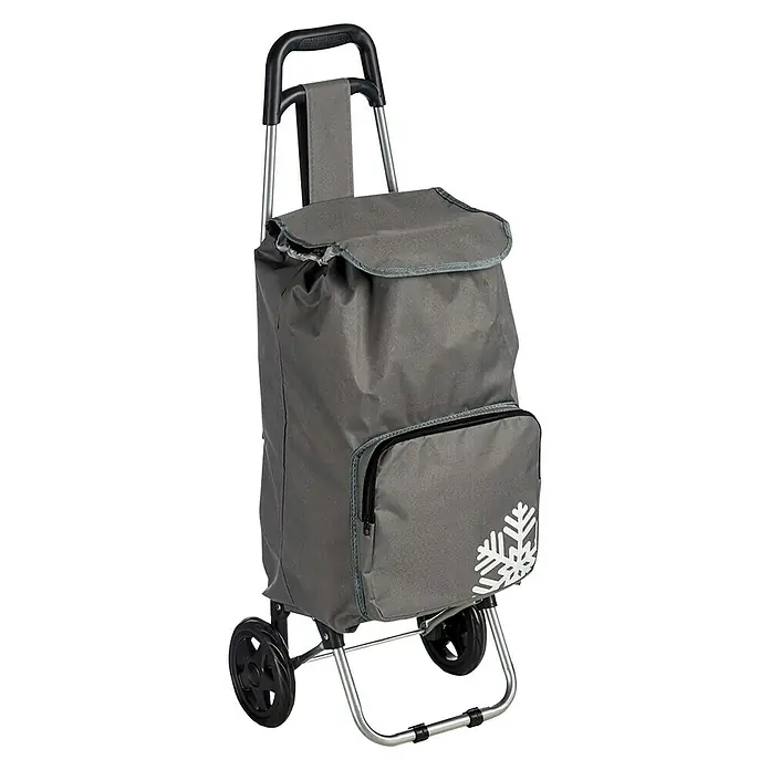 Carro de la compra - 33 l, Gris, Compartimento térmico para ultracongelados - Vista angular