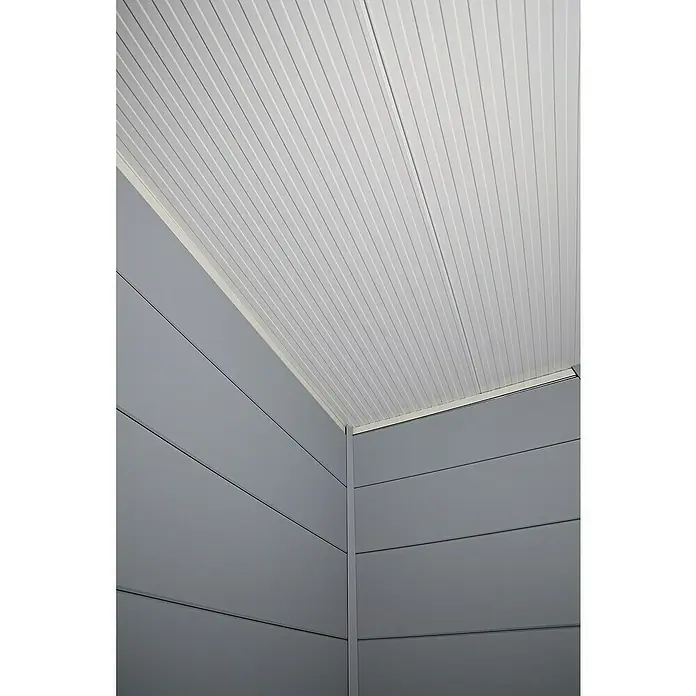 Wolff Finnhaus Gerätehaus Eleganto 3024 - Außenbreite inkl. Dachüberstand: 486 cm, Außentiefe inkl. Dachüberstand: 259 cm, Metall, Granit, Mit linksseitigem Seitendach - Detailaufnahme